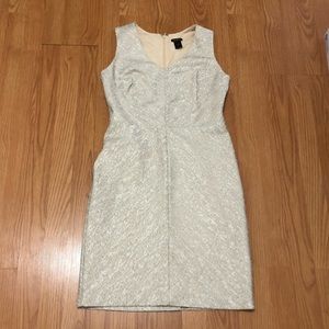 NWOT Women’s Szie 6 Ann Taylor Dress